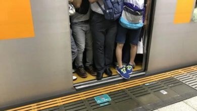 081144e550966a67d61bfb532bfd8fc4-E07vUi.jpg