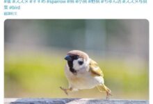 081752tnhev6dwd3snkdze-ff2vx5.jpg