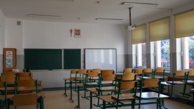 0818503nof29viv4izir3i-uv2jUc.jpg