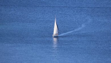 0830209hehzthgugltvt1u-tby8nB.jpg
