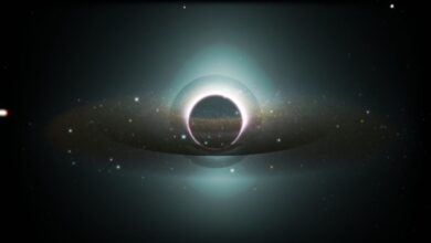 083313k6m2trrcc6nn4v2j-yVprjO.jpg