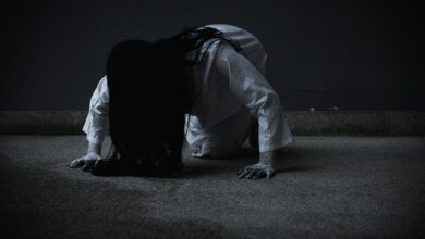 0835146yq2ndijmpkmzvnd-bBvrKN.jpg