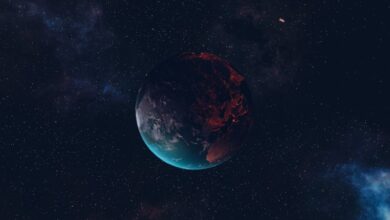 083631eib1o8e88xzteexi-tFVFYm.jpg