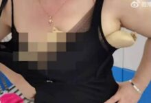 0840146muu6u4596zdmt66-ER8gd3.jpg