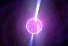085125ue2e4uu8sel28z22-zlKv42.jpg