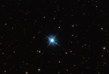 085755nnblafnff8zqmaxm-FU19Nn.jpg