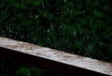 0901375tdh9nhtcqdqynu5-jvKtY7.jpg