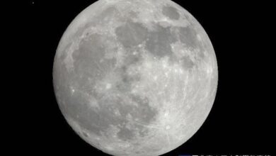 090307z4xlkikr7lk91un4-efAPsv.jpg