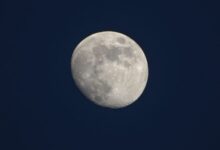 090502h45lw5l4i19krl53-DOWaii.jpg