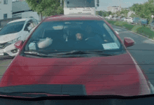 09074320znrhgcqjcww22b-s2iMxK.jpg