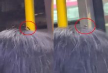 0917348pwb7kgpcxgk8gk9-AFFZfQ.jpg