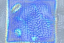 092609ykjz5xibizlxve5b-AjTU5v.jpg