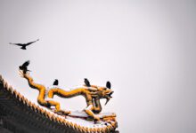 092747gmvkmnf9hl7577ml-JPt3z3.jpg