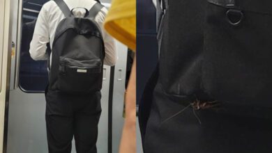09323550665cn5lyp6ujeg-NrT1Ch.jpg