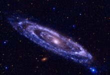 094514rzcmla4flq9f99ri-9UOMP2.jpg