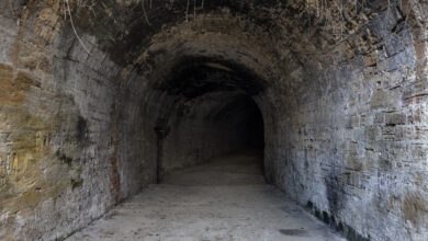 095846zmogcr5x6nnczd5m-7zTFIv.jpg