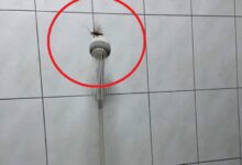 1007446h2clmimczyrhk2c-YKgkWu.jpg