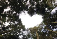 101257tdqwmw16xmqw0emw-SBHlGz.jpg