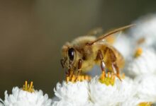 102228on18n5z93q2st55g-GHvbUG.jpg