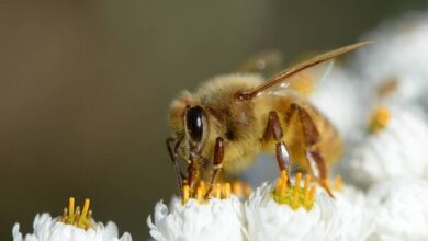 102228on18n5z93q2st55g-GHvbUG.jpg