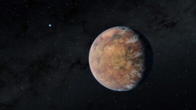 103059fqanaggr4f9q8nzf-ueGUYj.jpg