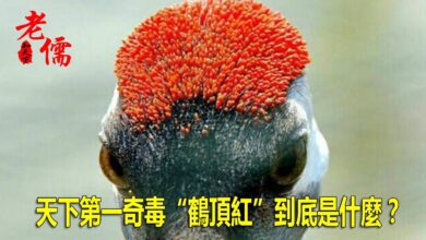 103210kwwogn1koa52krer-s0T5ZW.jpg