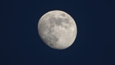 105514jsssjmxggumqjqzs-SgtPVt.jpg