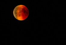 105606xa76kxp3nkxdtni3-QdxF21.jpg