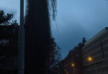 1103053i3mecm7vviho70v-Cq9oXi.jpg
