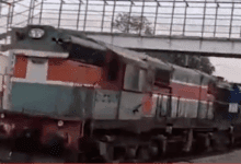 112532hr24ff8wvic7ppxc-3XcBGJ.jpg