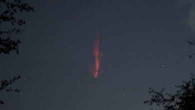 112538orukk3oltkolxk65-9aAEab.jpg