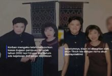 12ca8a8039761be2c639939320691356-g9B7tE.jpg
