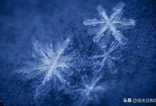 133213fzjsyyb6865dszb9-97f789.jpg