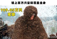 163822pbpa6p2qwbbbqpp9-iGgezV.jpg