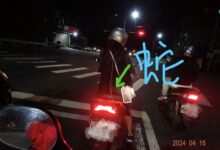 4611523-PH-iCYe31.jpg