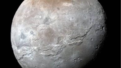 870x866_wmkn_279952470175_0-ga9Ko4.jpg