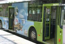 9259e01bb50de7cc1b90a5c64bd80630-N9ichl.jpg
