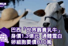 fa1bfa00-2245-11ef-befd-d9d9882ef41f-8DxzP2.png