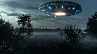 070547n7gflxl8xnrggo0x-KvzQ5A.jpg