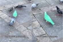 0807135o0y8kdor0krloow-AtVeLM.jpg