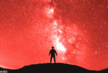 100348d9qbpo8f08970fnn-8ApqVH.png