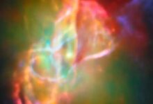 5162721_1_1-Q64xCo.jpg
