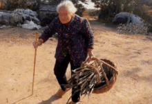 20251122003186-5u4mDd.png