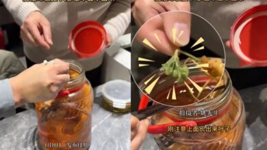 20260111002933-u2jREv.jpg