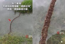 20260620002288-U7O7pu.jpg