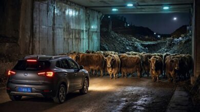 20260830002989-vw9vRI.jpg