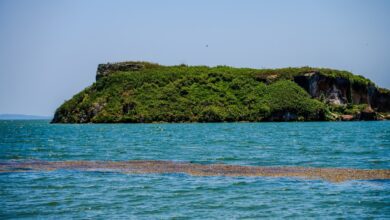 20260903002924-D24zQ5.jpg