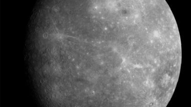 20260910005071-Ib7F7L.jpg