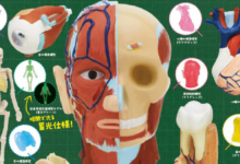 179239657074_1200-qzSYP9.png